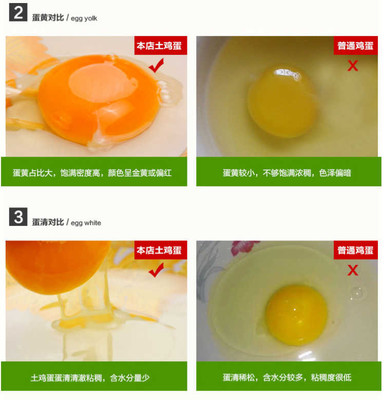 【顺丰包邮】40枚土鸡蛋 现散养鸡蛋土鸡蛋新鲜蛋乌鸡蛋绿壳蛋批发